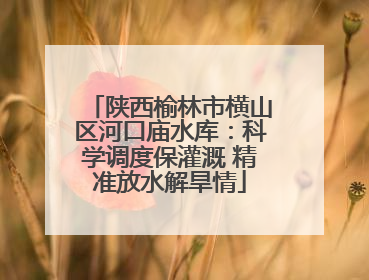 陕西榆林市横山区河口庙水库：科学调度保灌溉 精准放水解旱情