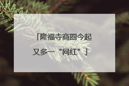 隆福寺商圈今起又多一“网红”