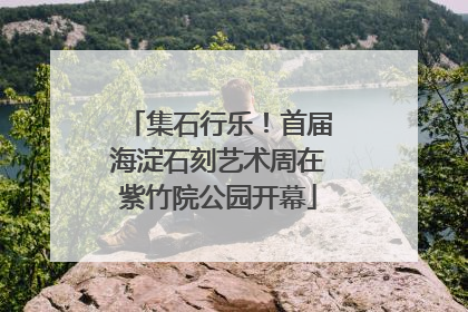 集石行乐！首届海淀石刻艺术周在紫竹院公园开幕