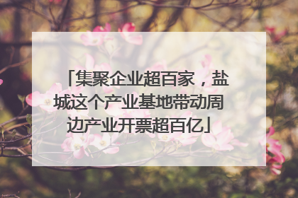 集聚企业超百家，盐城这个产业基地带动周边产业开票超百亿