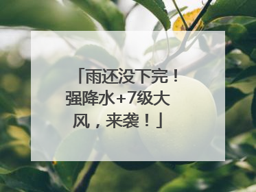 雨还没下完！强降水+7级大风，来袭！