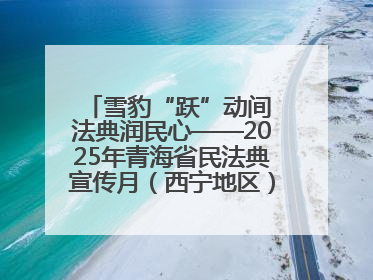 雪豹“跃”动间 法典润民心——2025年青海省民法典宣传月（西宁地区）主场活动见闻