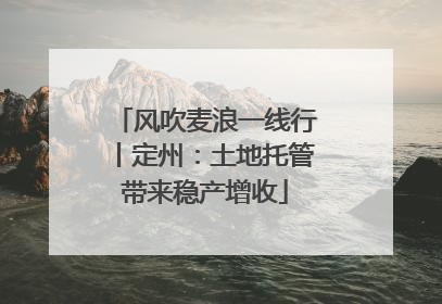 风吹麦浪一线行丨定州：土地托管带来稳产增收