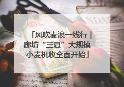 风吹麦浪一线行｜廊坊“三夏”大规模小麦机收全面开始
