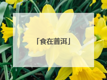 食在普洱