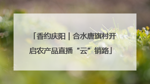 香约庆阳｜合水唐旗村开启农产品直播“云”销路