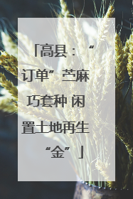 高县：“订单”苎麻巧套种 闲置土地再生“金”