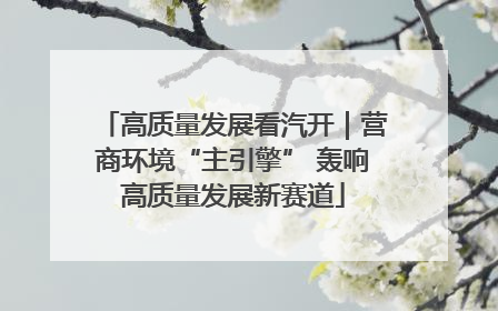高质量发展看汽开｜营商环境“主引擎” 轰响高质量发展新赛道