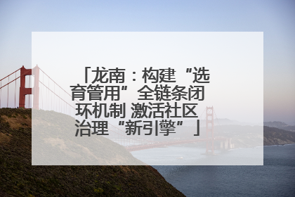 龙南：构建“选育管用”全链条闭环机制 激活社区治理“新引擎”