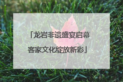龙岩非遗盛宴启幕 客家文化绽放新彩