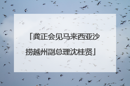 龚正会见马来西亚沙捞越州副总理沈桂贤