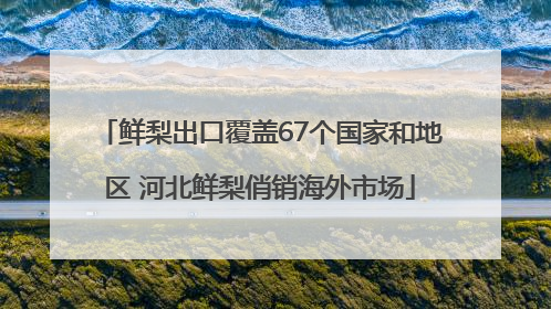 鲜梨出口覆盖67个国家和地区 河北鲜梨俏销海外市场
