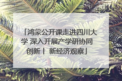 鸿蒙公开课走进四川大学 深入开展产学研协同创新丨 新经济观察