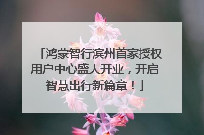 鸿蒙智行滨州首家授权用户中心盛大开业，开启智慧出行新篇章！