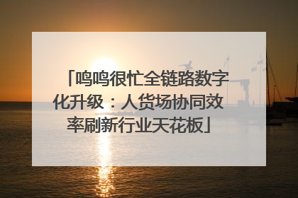 鸣鸣很忙全链路数字化升级：人货场协同效率刷新行业天花板