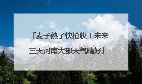 麦子熟了快抢收！未来三天河南大部天气晴好