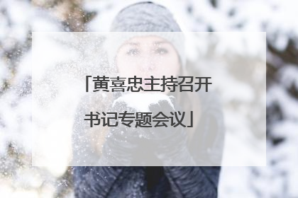 黄喜忠主持召开书记专题会议