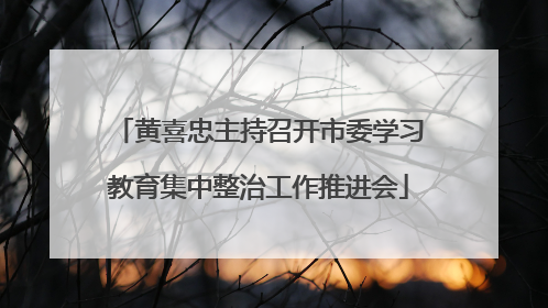 黄喜忠主持召开市委学习教育集中整治工作推进会