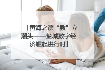 黄海之滨“数”立潮头——盐城数字经济崛起进行时