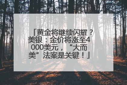黄金将继续闪耀？美银：金价将涨至4000美元，“大而美”法案是关键！