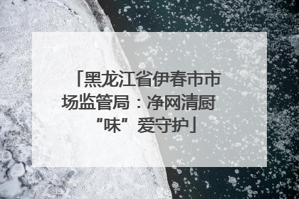 黑龙江省伊春市市场监管局：净网清厨 “味”爱守护