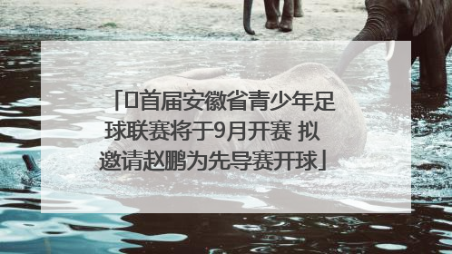 ﻿首届安徽省青少年足球联赛将于9月开赛 拟邀请赵鹏为先导赛开球