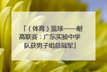 （体育）篮球——耐高联赛：广东实验中学队获男子组总冠军