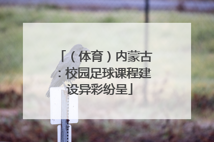 （体育）内蒙古：校园足球课程建设异彩纷呈