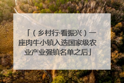 （乡村行·看振兴）一座肉牛小镇入选国家级农业产业强镇名单之后