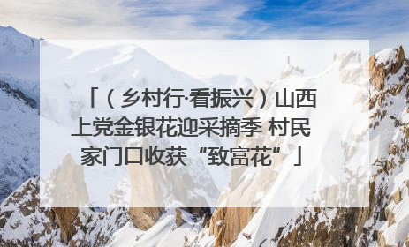 （乡村行·看振兴）山西上党金银花迎采摘季 村民家门口收获“致富花”