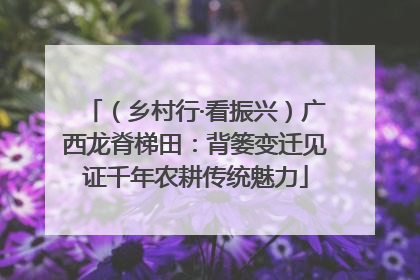 （乡村行·看振兴）广西龙脊梯田：背篓变迁见证千年农耕传统魅力