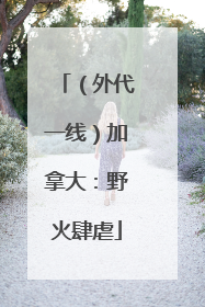 （外代一线）加拿大：野火肆虐
