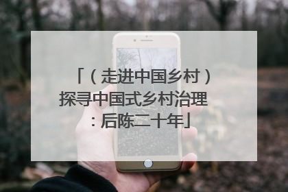 （走进中国乡村）探寻中国式乡村治理：后陈二十年