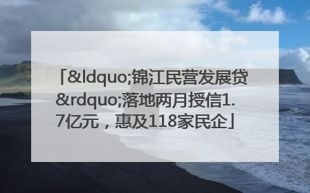 “锦江民营发展贷”落地两月授信1.7亿元，惠及118家民企