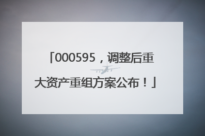 000595，调整后重大资产重组方案公布！