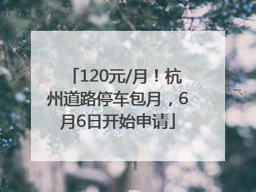 120元/月！杭州道路停车包月，6月6日开始申请