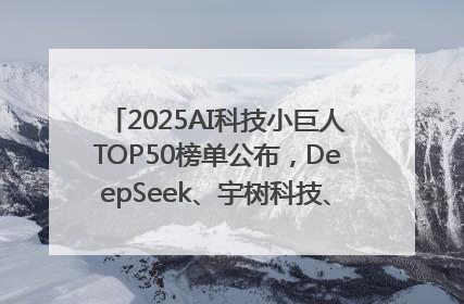 2025AI科技小巨人TOP50榜单公布，DeepSeek、宇树科技、蘑菇车联等企业荣誉上榜