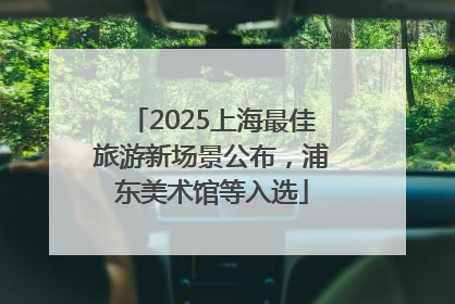 2025上海最佳旅游新场景公布，浦东美术馆等入选