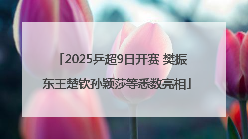 2025乒超9日开赛 樊振东王楚钦孙颖莎等悉数亮相