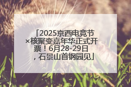 2025京西电竞节×核聚变嘉年华正式开票！6月28-29日，石景山首钢园见