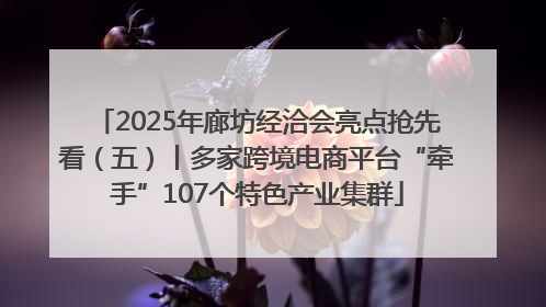 2025年廊坊经洽会亮点抢先看（五）丨多家跨境电商平台“牵手”107个特色产业集群