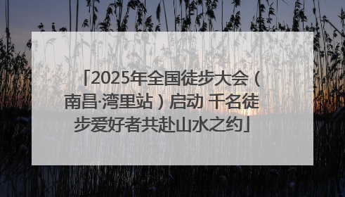 2025年全国徒步大会（南昌·湾里站）启动 千名徒步爱好者共赴山水之约