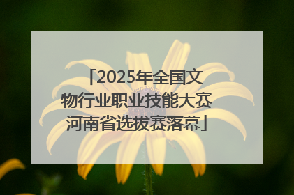 2025年全国文物行业职业技能大赛河南省选拔赛落幕