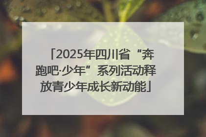 2025年四川省“奔跑吧·少年”系列活动释放青少年成长新动能