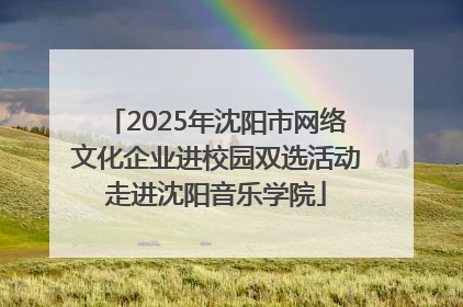 2025年沈阳市网络文化企业进校园双选活动走进沈阳音乐学院