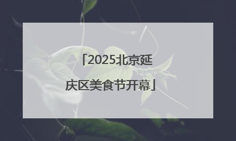 2025北京延庆区美食节开幕