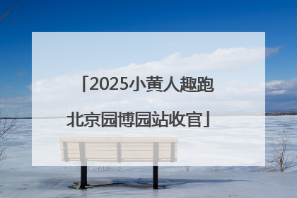 2025小黄人趣跑北京园博园站收官