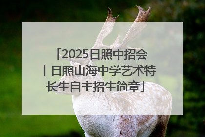 2025日照中招会丨日照山海中学艺术特长生自主招生简章
