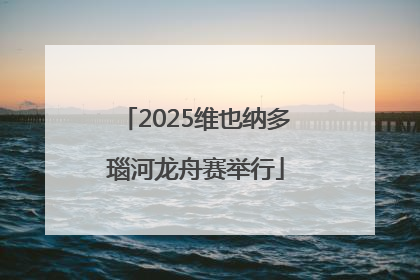2025维也纳多瑙河龙舟赛举行