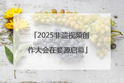 2025非遗视频创作大会在婺源启幕